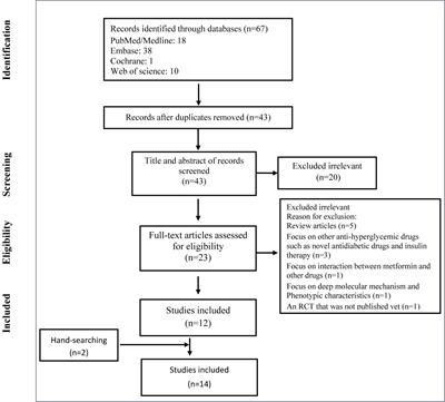 Frontiers The Efficacy And Potential Mechanisms Of Metformin In The   645194 Thumb 400 